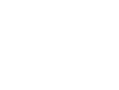 PRO POCKET SCANNER